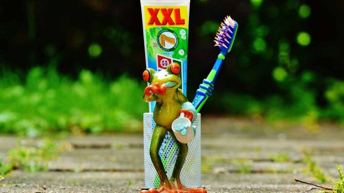 Rana che si lava i denti