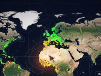 Terremoti in tempo reale